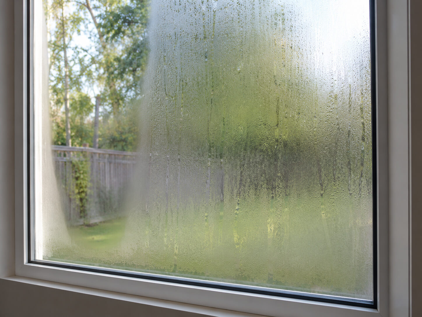 Buée / Condensation